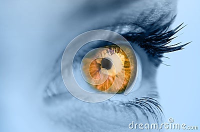 Orange eye on blue face Stock Photo