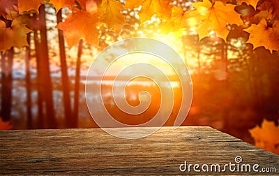 orange fall leaves and old wooden board, autumn natural background in forest Stock Photo