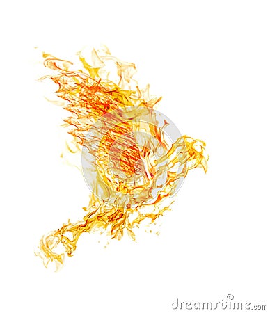 Orange fire flying dove on white Stock Photo