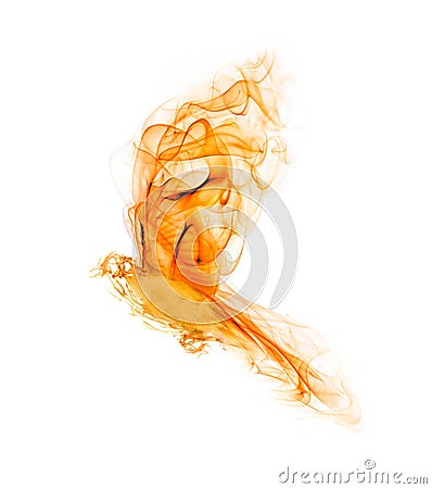 Orange flame flying small bird on white Stock Photo