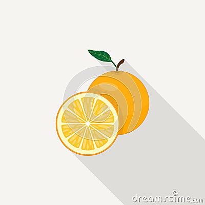 Orange Flat Icon Vector Illustration