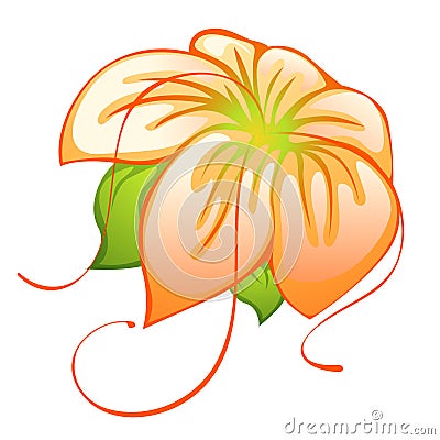 Orange flower Stock Photo