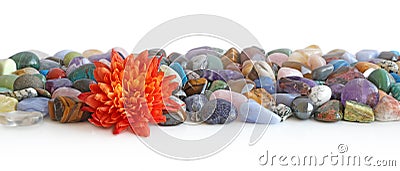 Lone flower head and healing crystals header Stock Photo