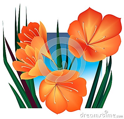 Orange flowers Vector Illustration