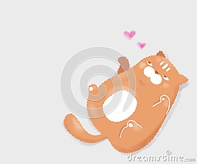 The orange fluffy chubby cat needs love on Valentine`s day and everyday Stock Photo