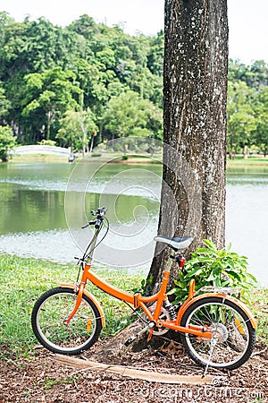 Orange folding bicycles in park Stock Photo