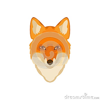 Orange Fox head. Vector image. Vector Illustration