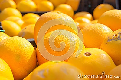 Orange fruiit background. Citrus group. Market place Stock Photo