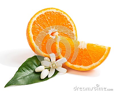 Orange fruit and blossom Stock Photo