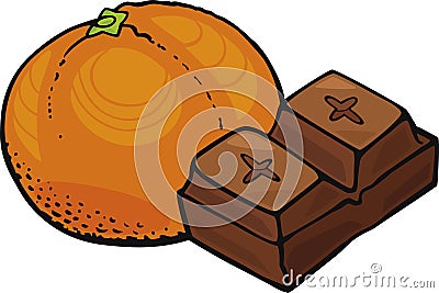 Orange fruit and chocolate block Vector Illustration