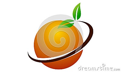 Orange Fruit Vector Illustration