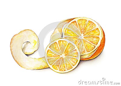 Orange fruit peeled ripe. Handwork. Tropical fruit. Healthy food. Watercolor Stock Photo