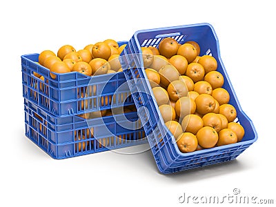 Orange fruit in plastic fruit crates isolated on white background Cartoon Illustration