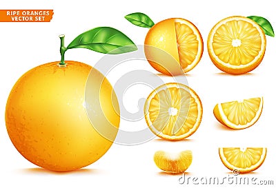 Orange Fruit Ripe Realistic 3D Vector Food Set. Whole Half and Sliced Version Vector Illustration