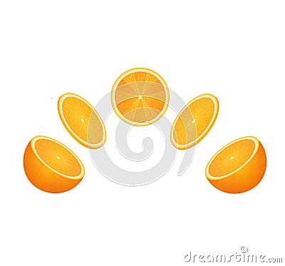 Orange fruit set Vector Illustration