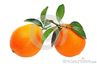 Orange fruit Stock Photo