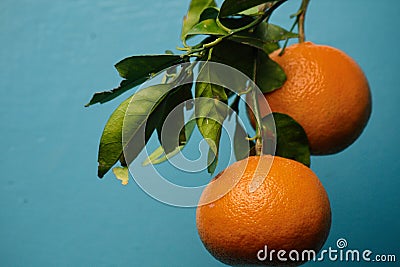 Orange fruite wallpaper Stock Photo