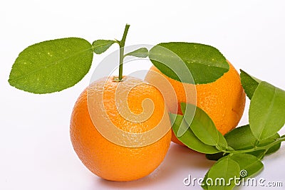 Orange fruits Stock Photo