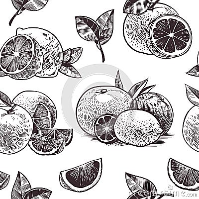 Orange fruits seamless pattern. Vintage citrus fruit, hand drawn oranges with flowers and leaves sketch tropical vector Vector Illustration