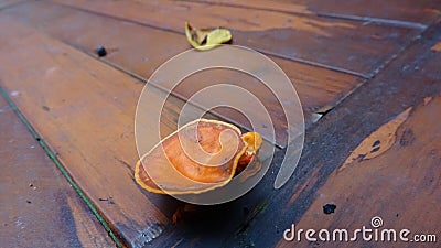 Orange fungus grows on a wooden sofa Stock Photo