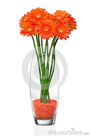 Orange gerbera flower Stock Photo