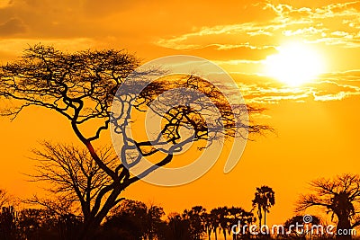 Orange glow of an african sunset Stock Photo