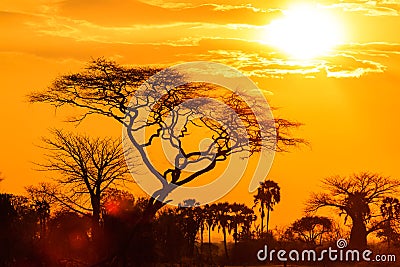 Orange glow of an african sunset Stock Photo