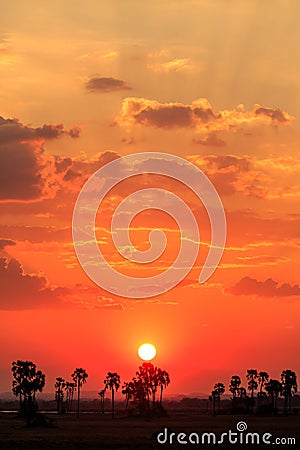 Orange glow sunset in a African landscape Stock Photo