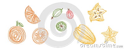 Orange, gooseberry and carambola. Fruit bundle. Hand drawn vector illustration. Pen or marker doodle sketch Vector Illustration