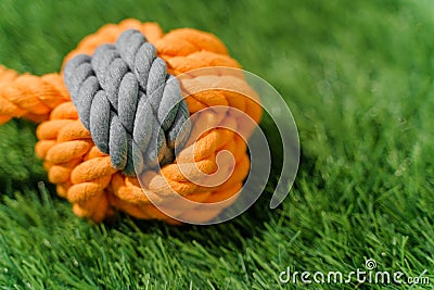 Orange gray rag dog toy on synthetic grass hard light Stock Photo