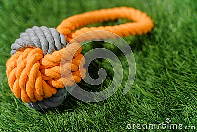 Orange gray rope dog toy on synthetic grass hard light Stock Photo