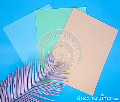 Orange, green and blue paper with colored tropical flower in pink. Stock Photo