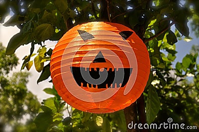 Orange Halloween lantern Stock Photo