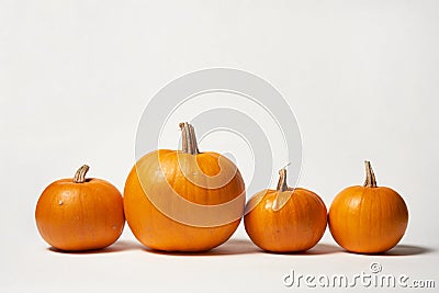Orange halloween pumpkins standing in line on white background Stock Photo