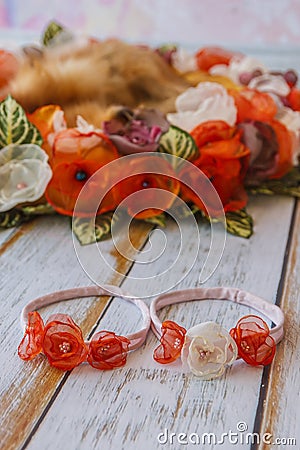 Orange handmade flower circle for newborn babies and headband wi Stock Photo