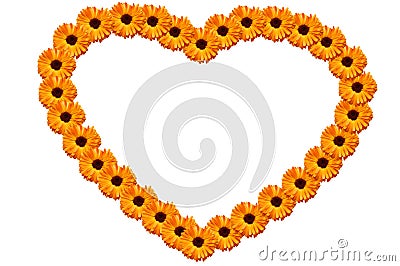 Orange heart from flowers Stock Photo