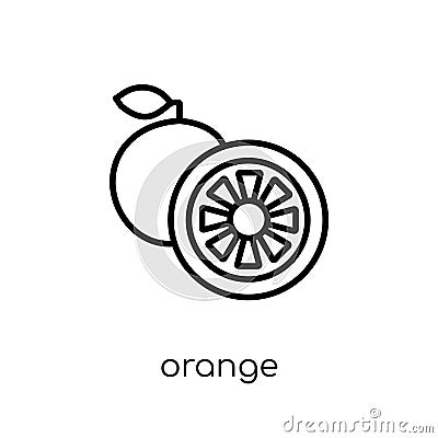 Orange icon from Fruit and vegetables collection. Vector Illustration