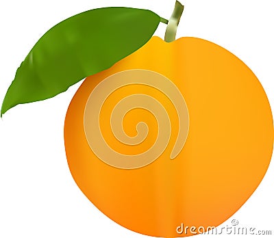 Orange Stock Photo