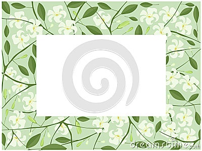 Orange Jasmine or Mock Orange Flowers Frame Vector Illustration