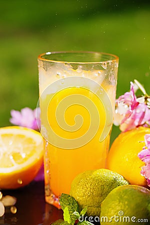 Orange juice, flowers and fruits Stock Photo