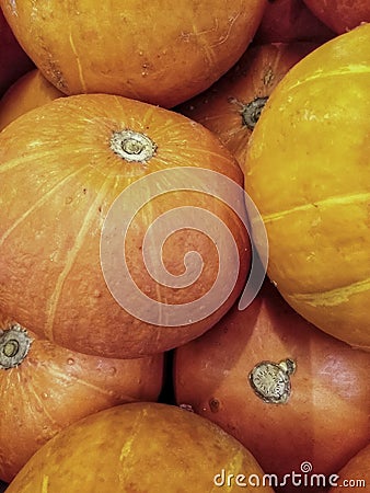 Orange Kabocha or Cucurbita maxima Stock Photo