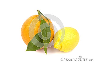 Orange and lemon Stock Photo