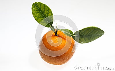 Orange lemon and leaf isolated on a white background with clipping path Stock Photo