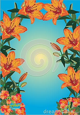 Orange lily frame on blue background Vector Illustration