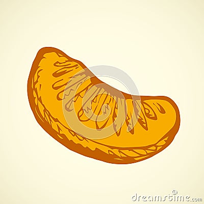 Orange lobule. Vector drawing Vector Illustration