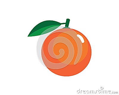 Orange logo design Vector Illustration