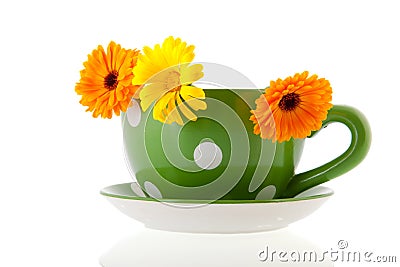 Orange marigolds in green coffee cup Stock Photo