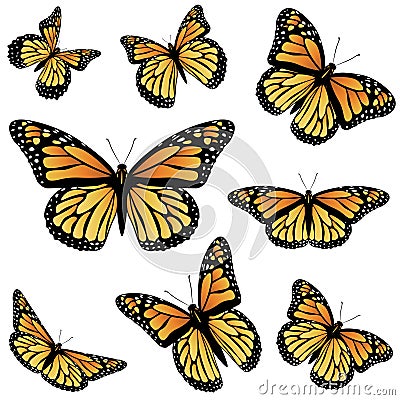 Orange Monarch Butterfly Vector Illustration