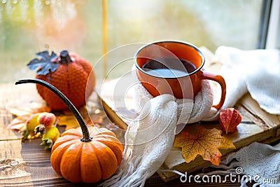 An orange mug in a scarf with hot tea, pumpkins, yellow dry maple leaves, a book on the windowsill, raindrops on the window - Stock Photo