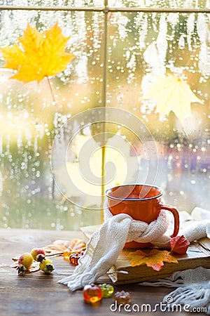 An orange mug in a scarf with hot tea, pumpkins, yellow dry maple leaves, a book on the windowsill, raindrops on the window - Stock Photo